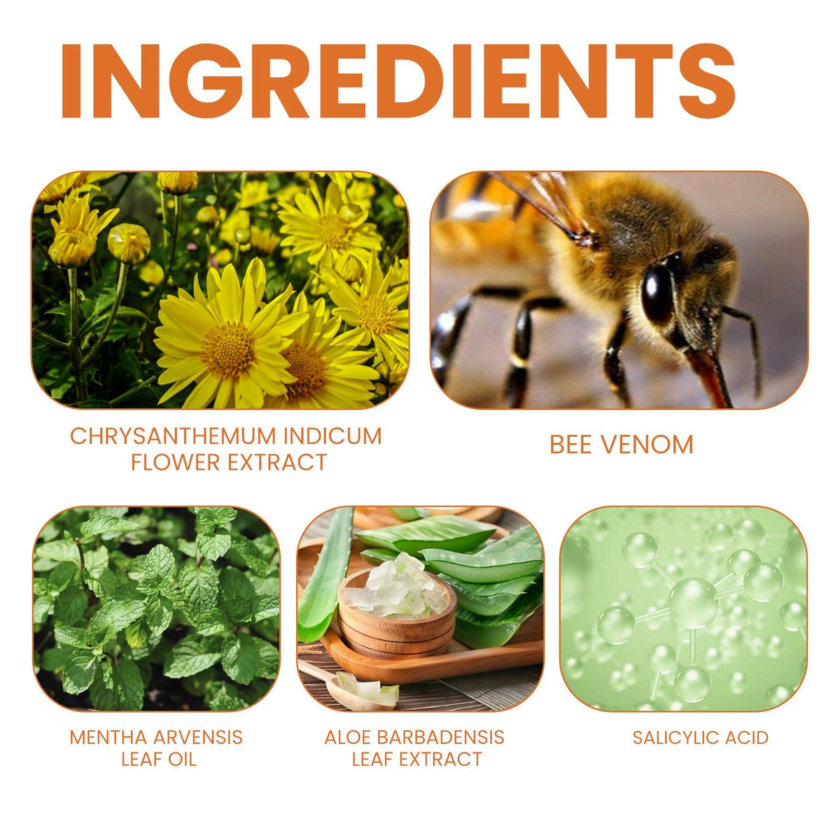 Bee-Poison Cowhide Moss Cream for Skin Care, Relieves Redness, Itchiness, Psoriasis ,20g