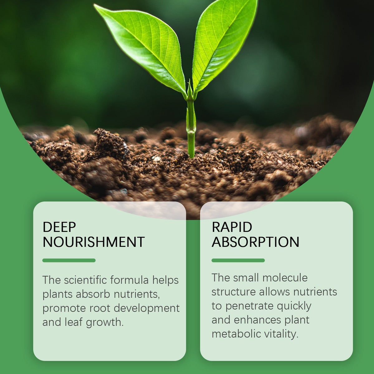 Boost Plant Growth with Top-Rated Plant Nutrient Solution for Fruits, Vegetables, Flowers ,120ml