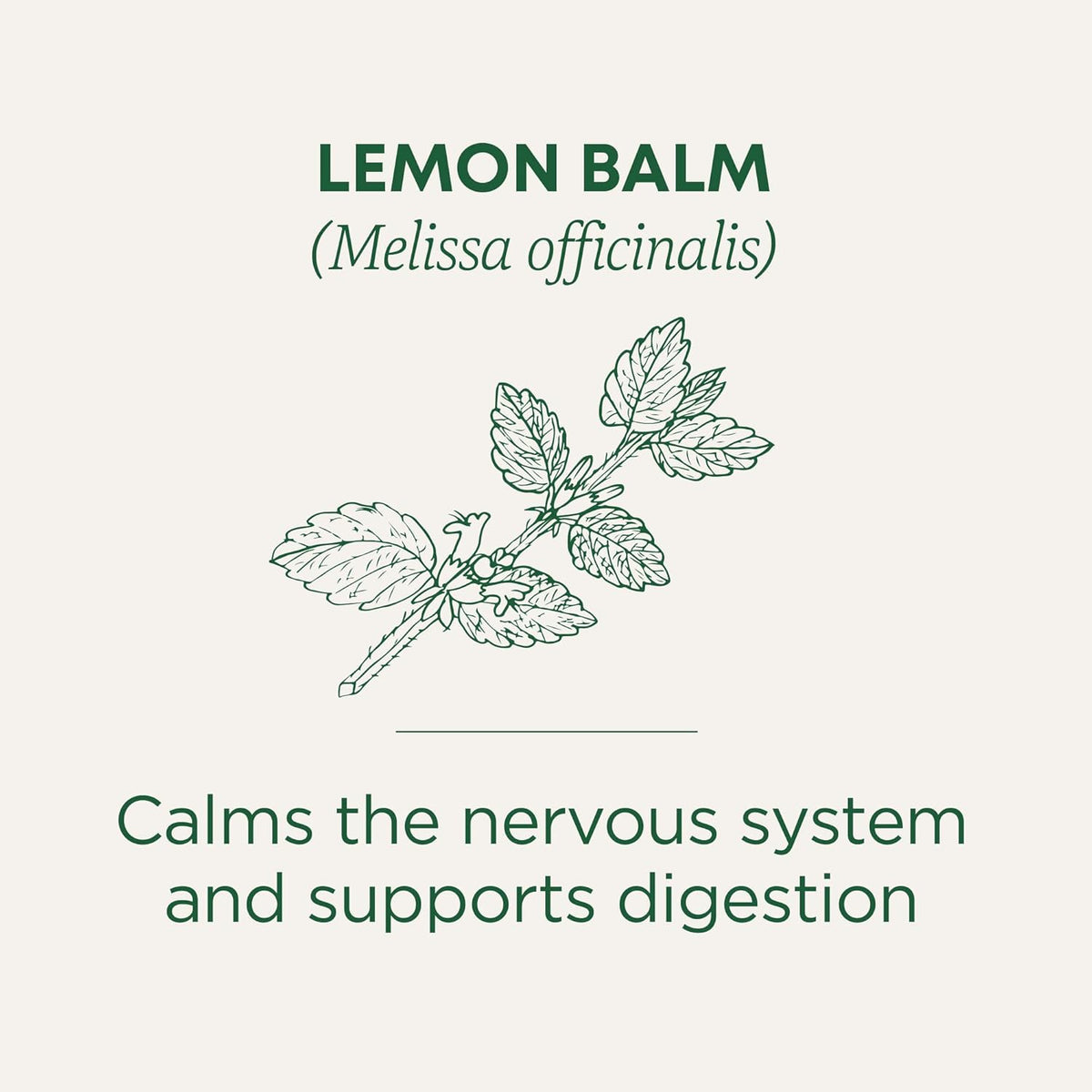 Traditional Medicinal Lemon Balm, 16 Teabags