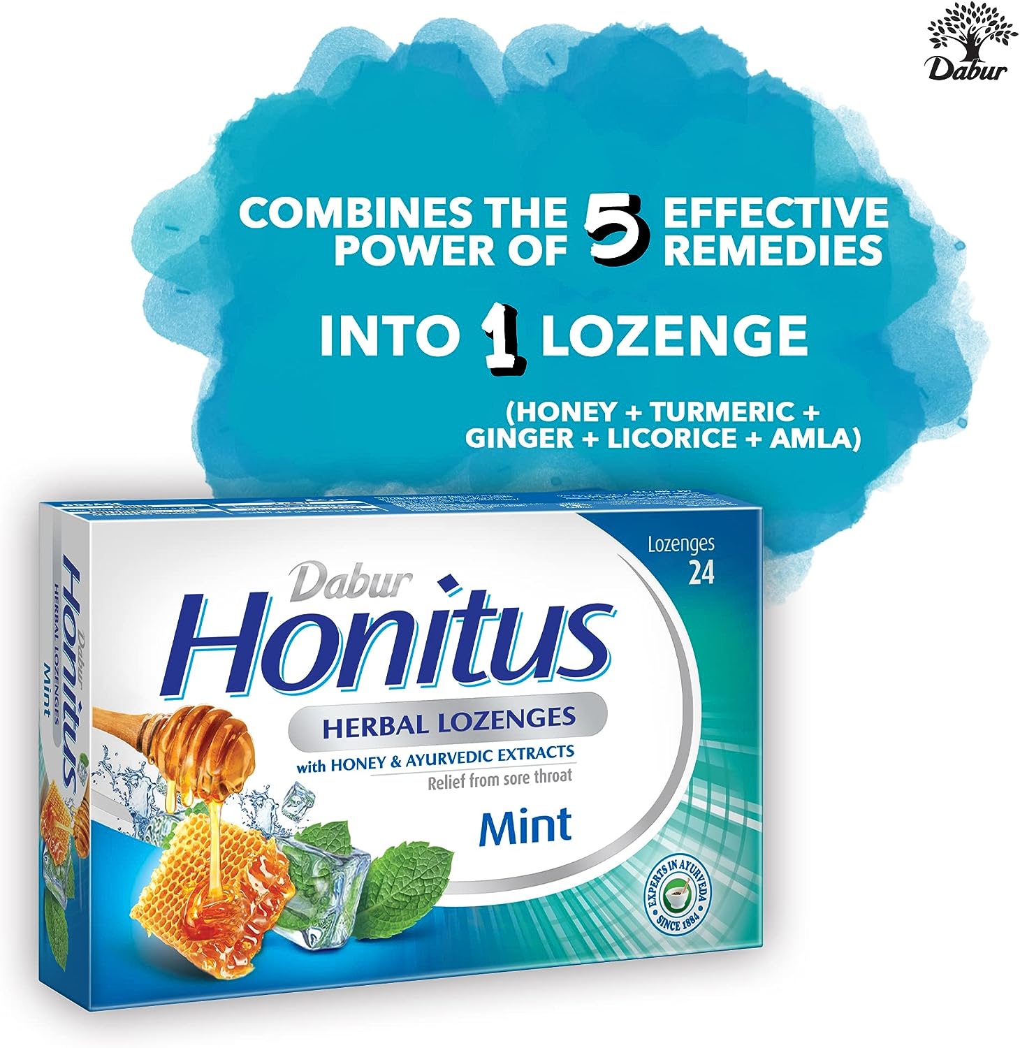 Dabur Honitus Herbal Lozenges Mint 24