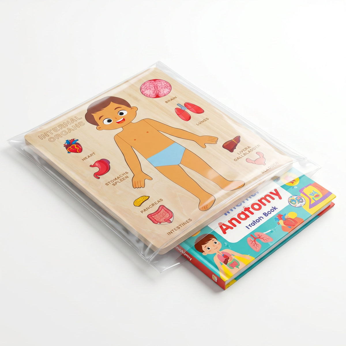 Body Anatomy Puzzle