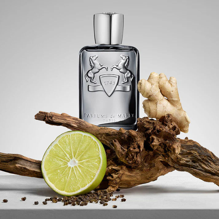 Castley Eau de Parfum 125ml