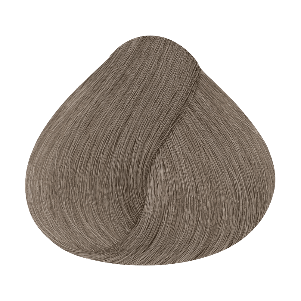Alfaparf Evolution long-lasting permanent cosmetic color - Ash - 8.1 Light Blonde Ash