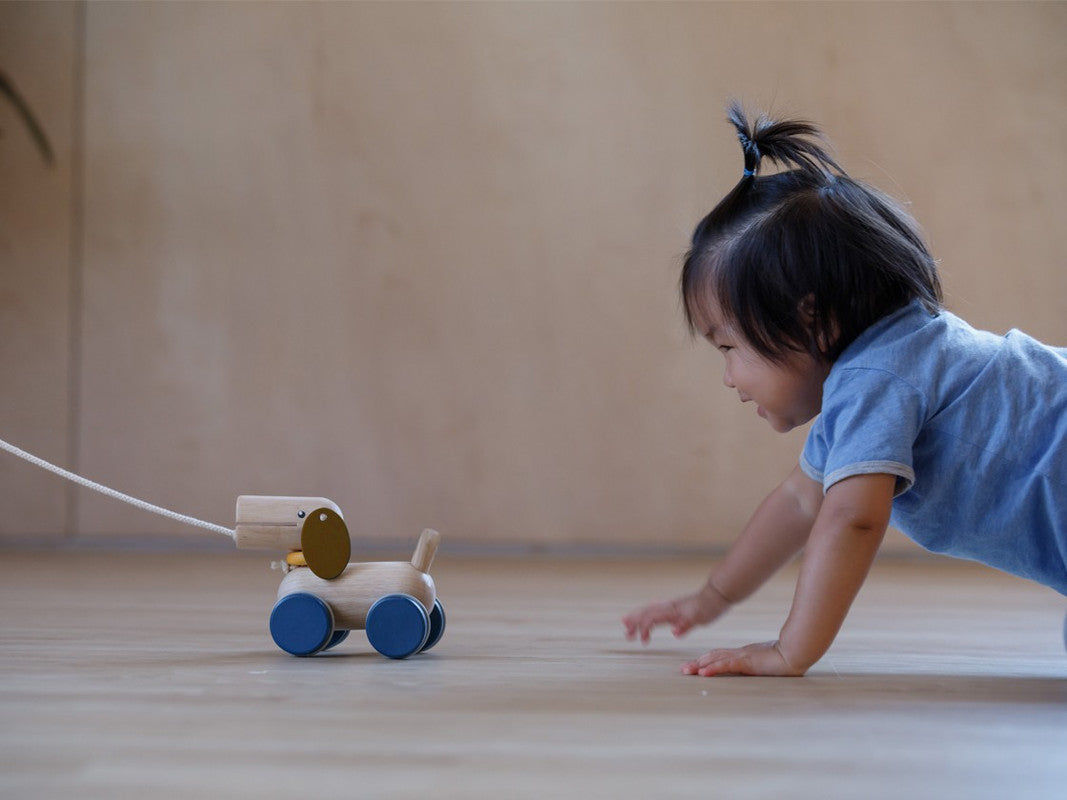 PlanToys Push and Pull Puppy — Wooden Walking Toy