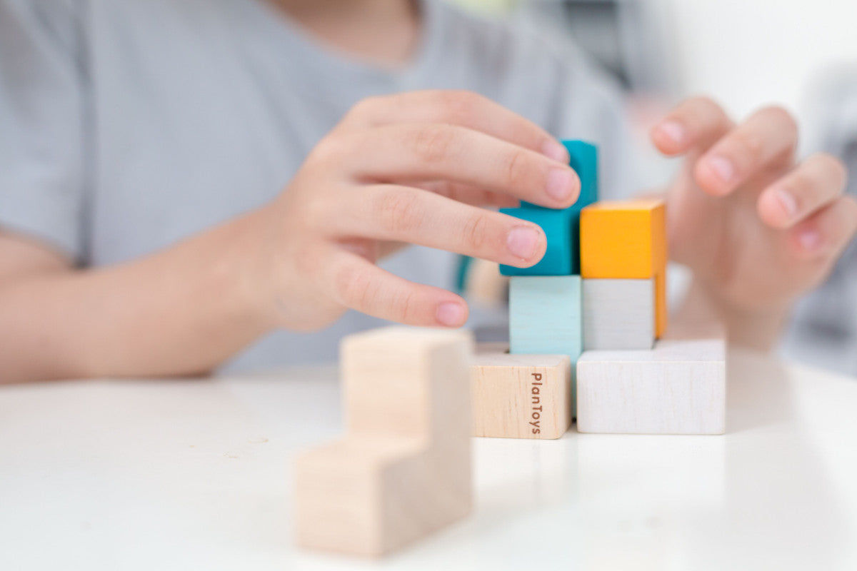PlanToys 3D Puzzle Cube — Wooden Brain Teaser
