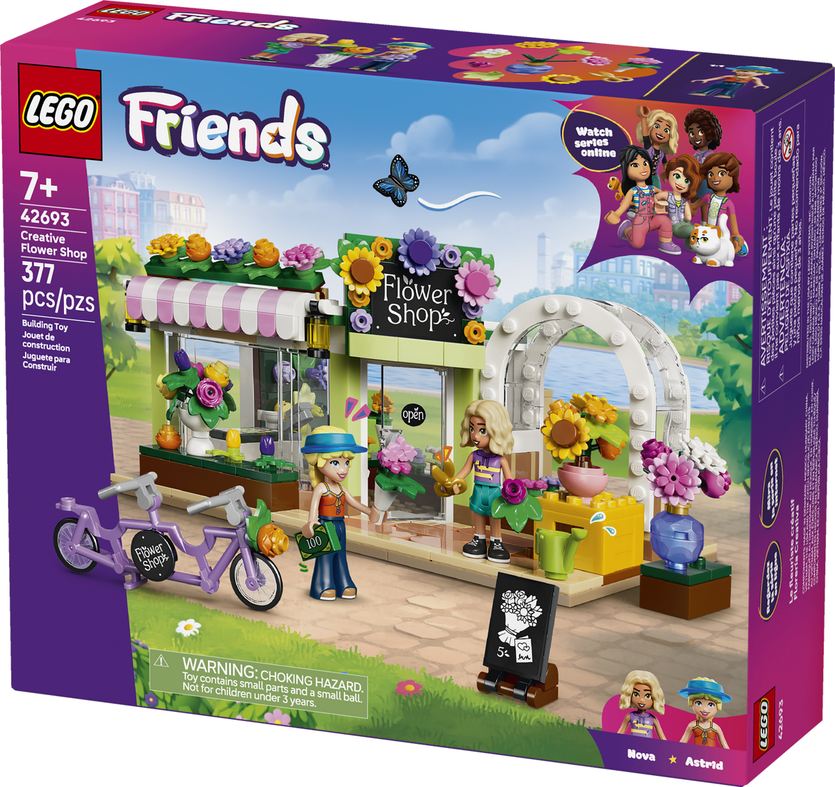 42693 Creative Flower Shop V29