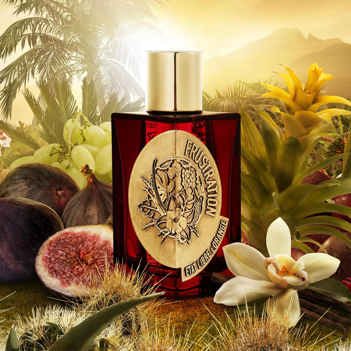 Frustration Eau de Parfum 100ml