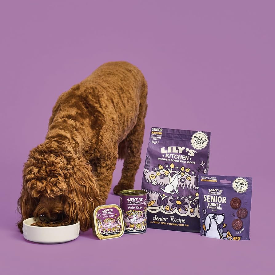 Lily's Kitchen Turkey & Whitefish Senior Dog Treats 70G