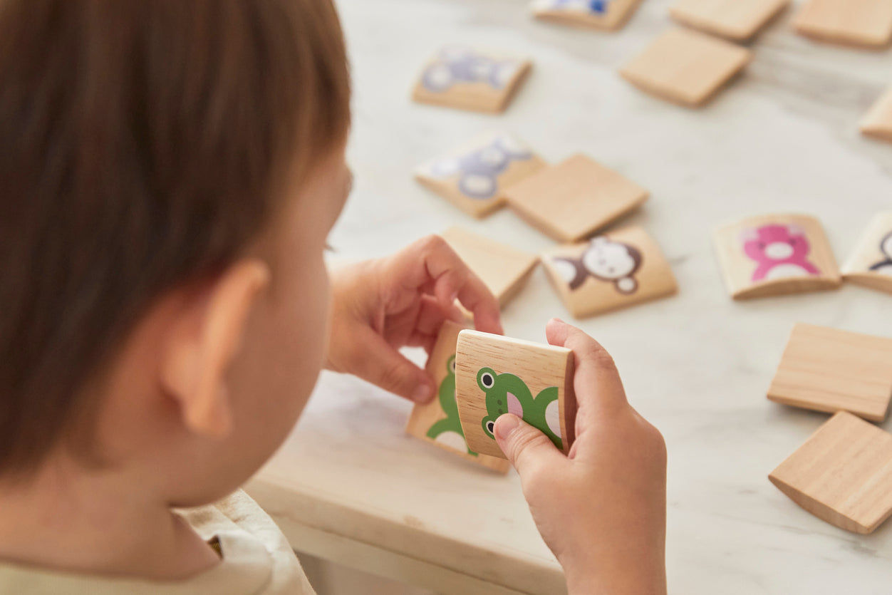PlanToys Animals Memo