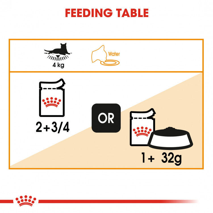Royal Canin Feline Care Nutrition  Hair & Skin Jelly - 12 Wet Food Pouches