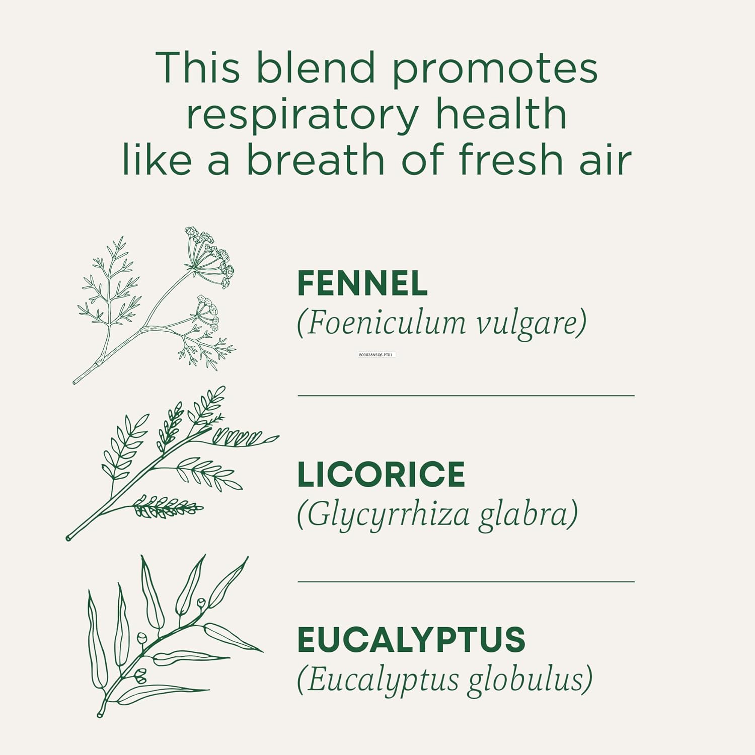 Traditional Medicinals Tea Breathe Easy, 16 Ct