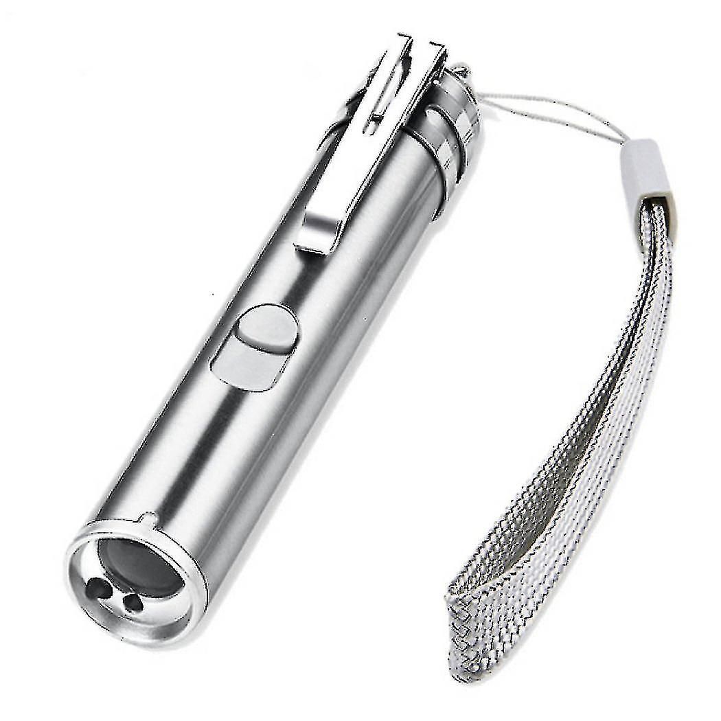 Usb Rechargeable Pet Toys Cat Training Laser Pointer With Led Flashlight