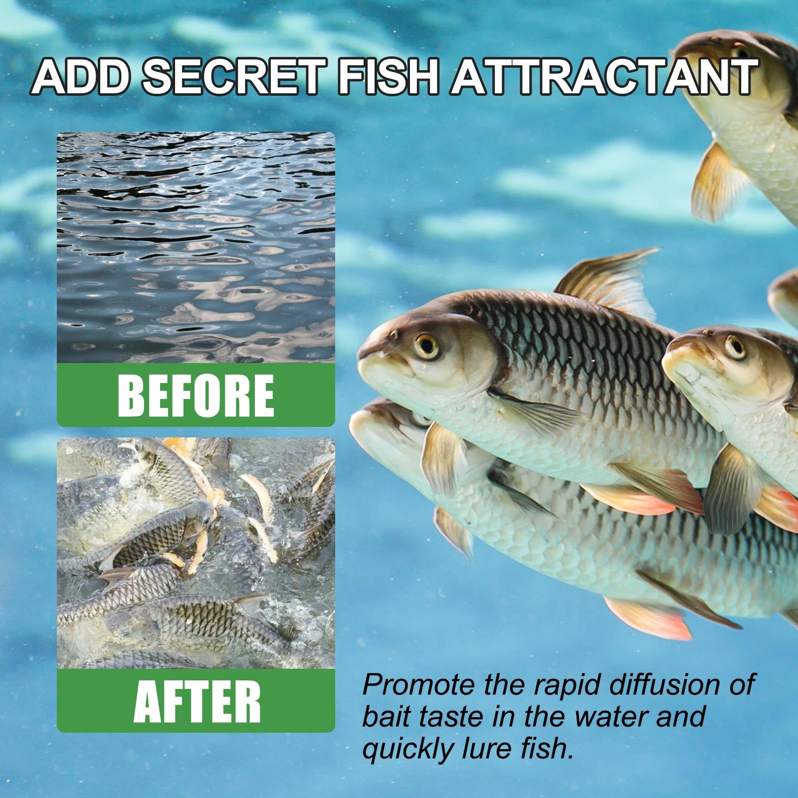 Bait Attractant, Fish Magnet, Ultimate Fishing Lure, Fish Hook Bait, Effective Fish Attractor ,30ml