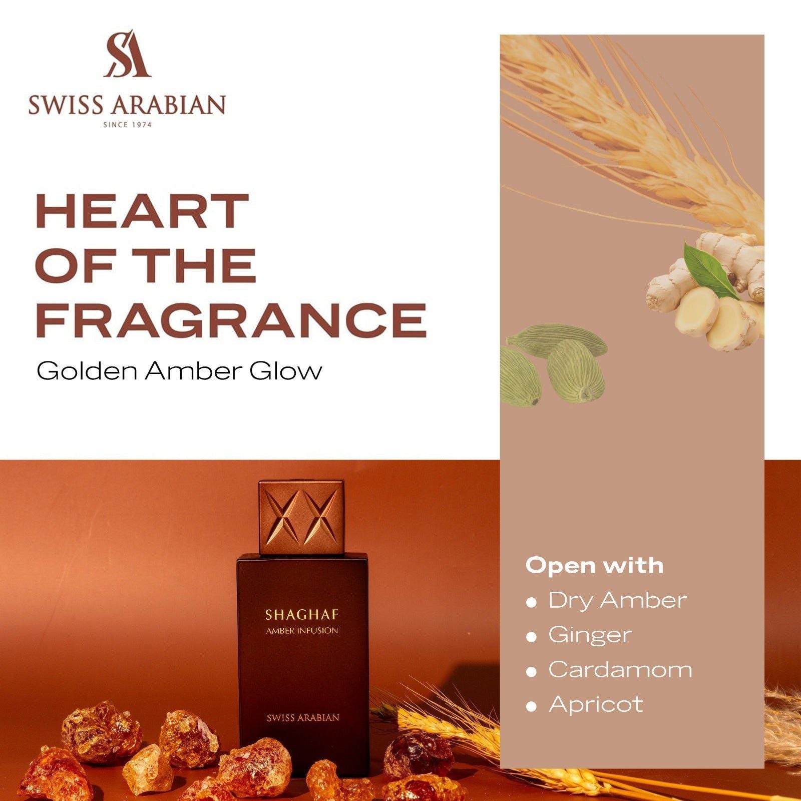 SHAGHAF AMBER INFUSION