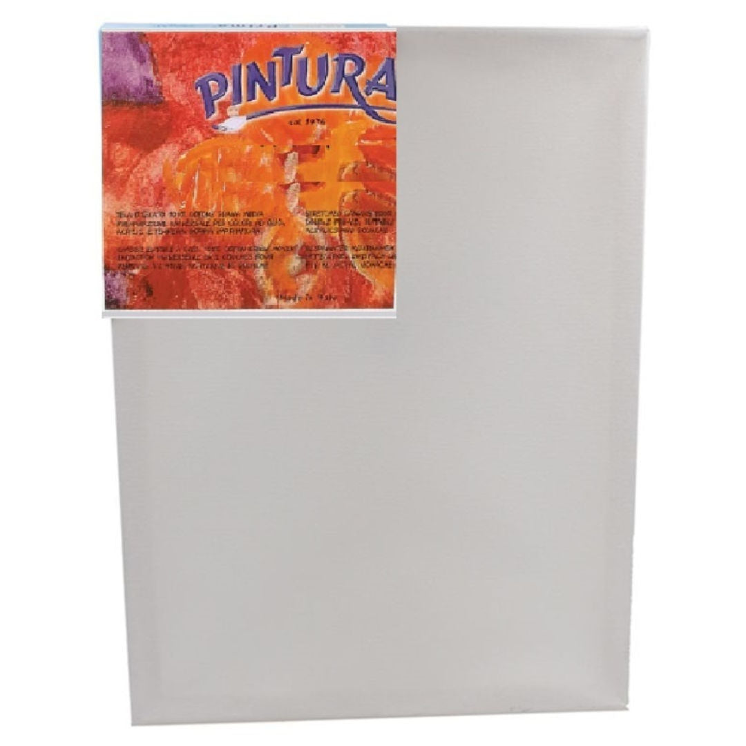 PINTURA Museum Canvas Frame
