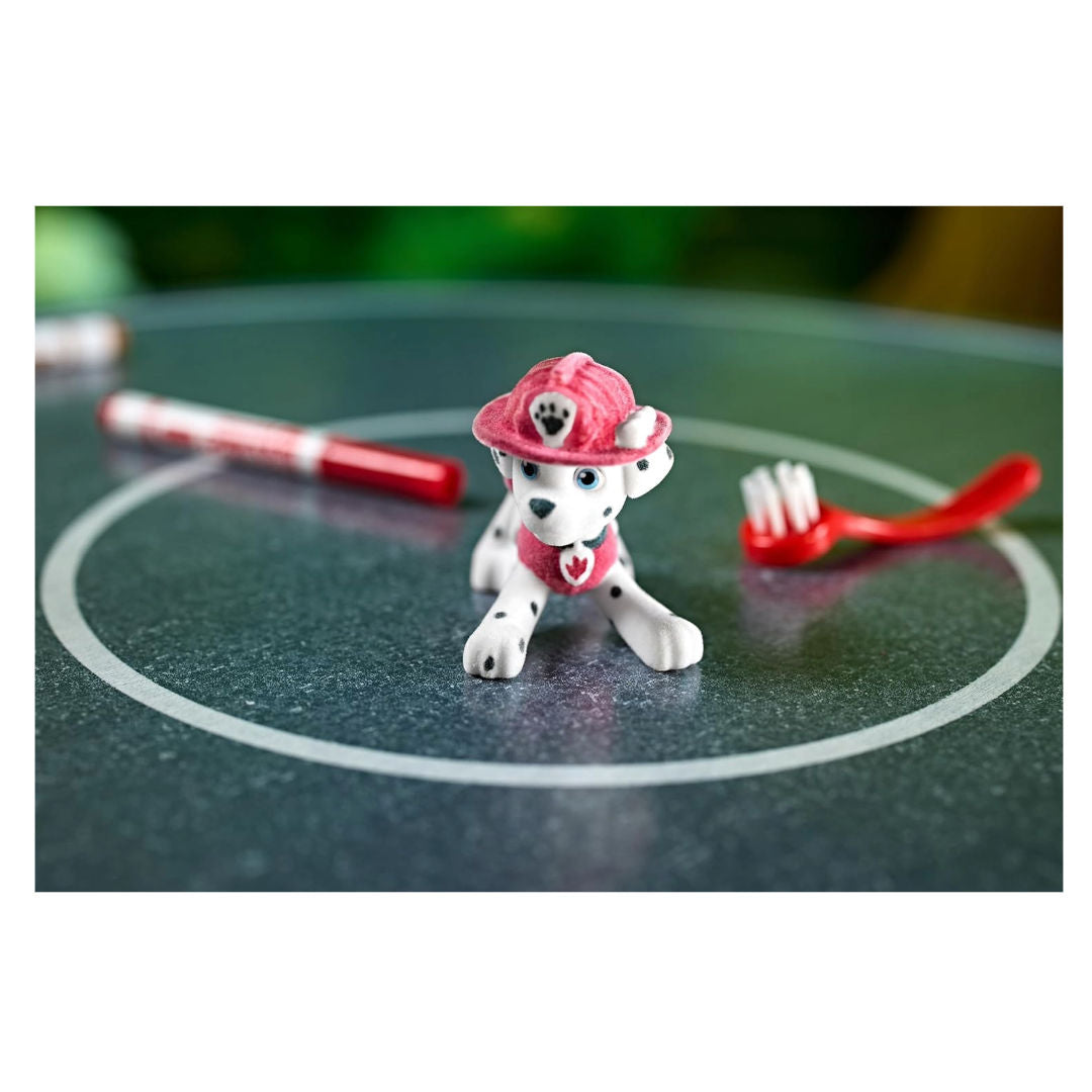 Crayola PAW PATROL Washimals Colour & Wash Hero Pups Activity Set, 5 Pups