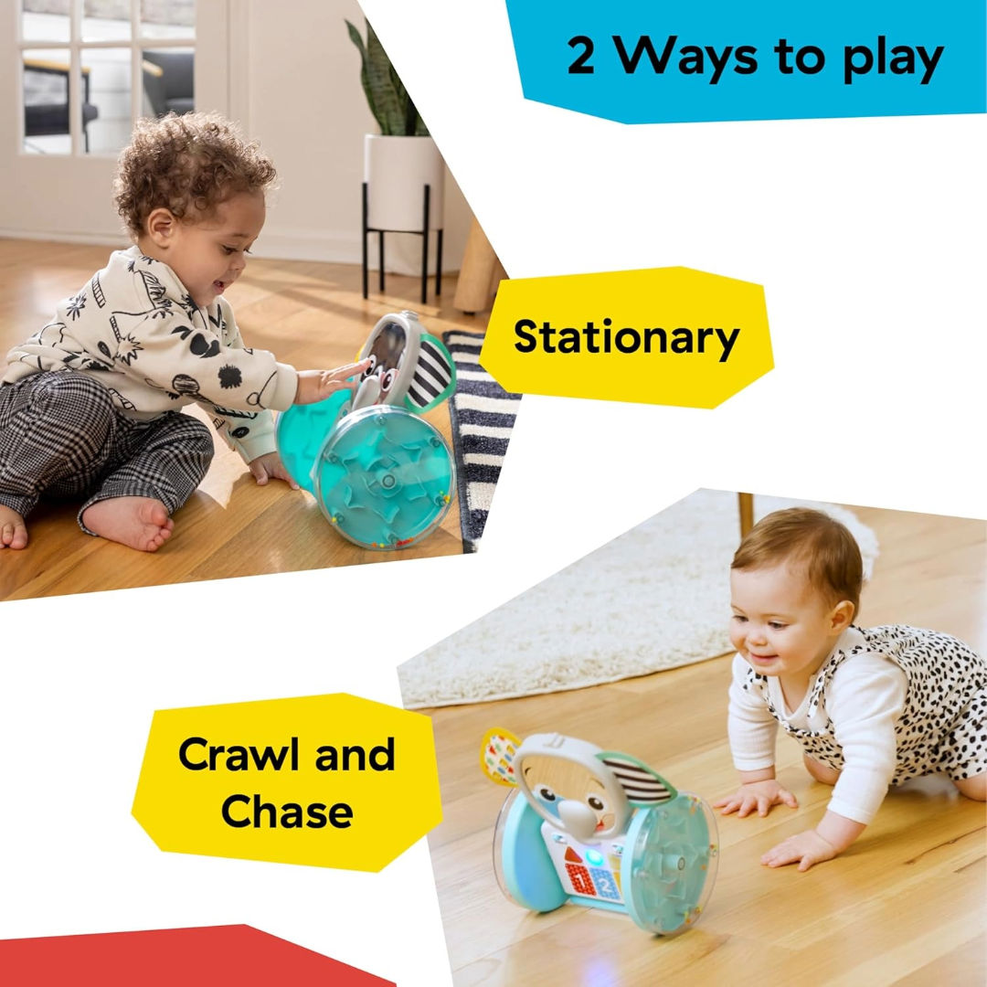Baby Einstein Chase & Tap Earl Interactive Crawling Toy, 6 Months+