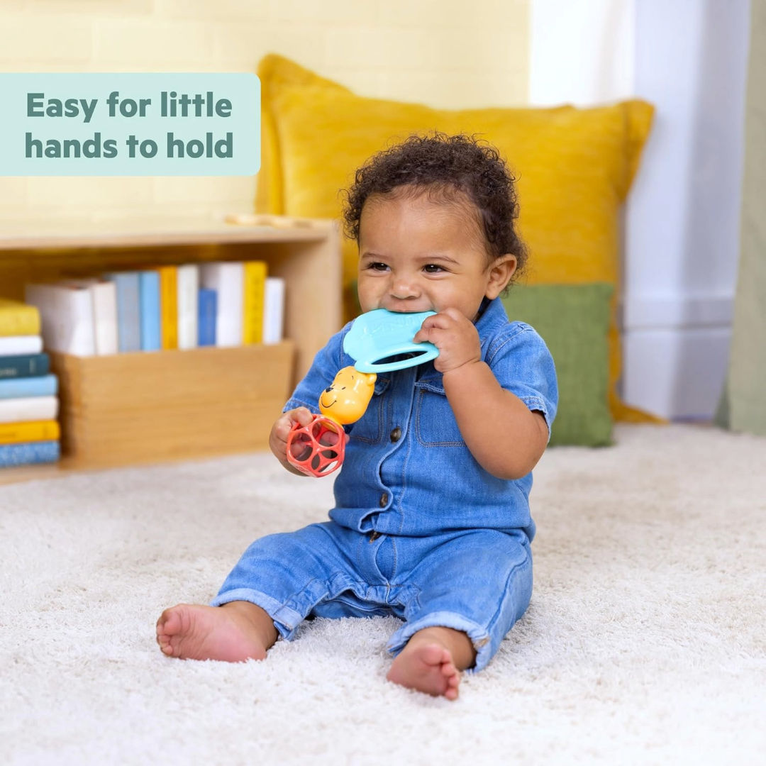 Bright Starts Disney Baby Winnie the Pooh Hunny & Shake Rattle & Teether Toy (Pack of 2), 0M+