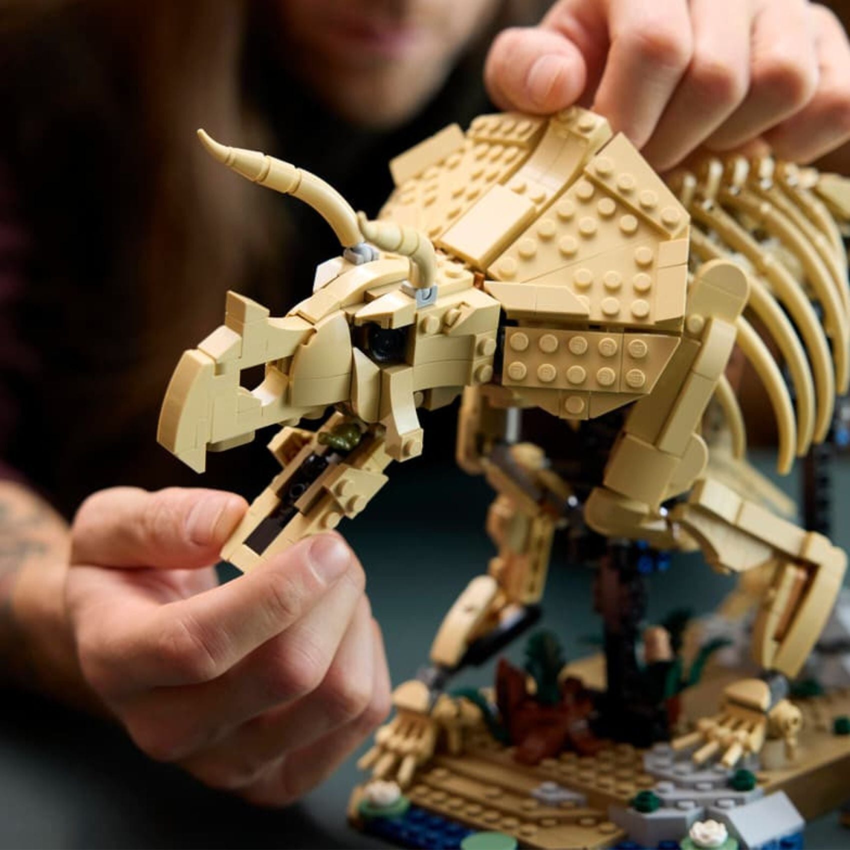 LEGO 77985 Jurassic World Dinosaur Fossils Triceratops Building Toy Set, 1154 Pieces for Adults 18 Years and Above
