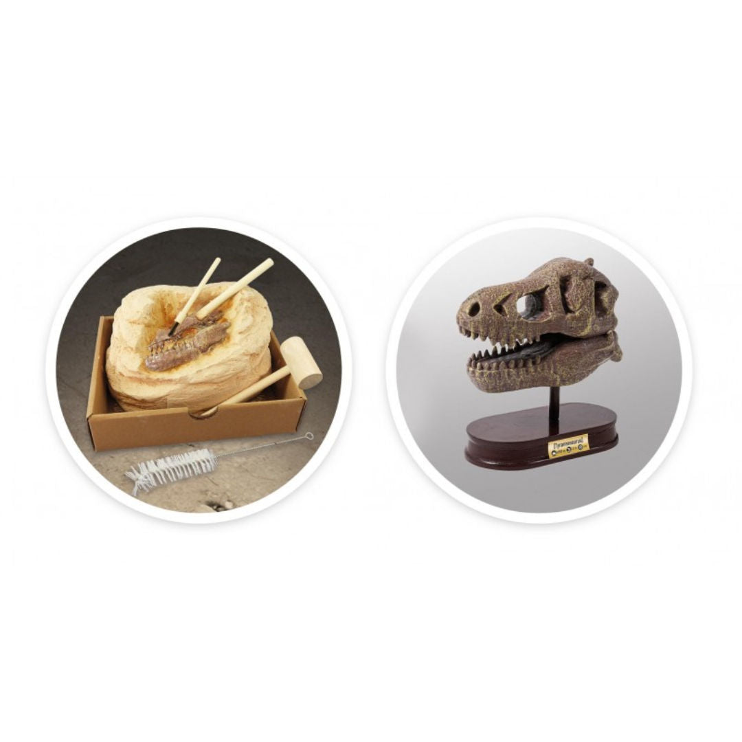 Buki France Museum Dino Skull Tyrannosaurus Dig Kit