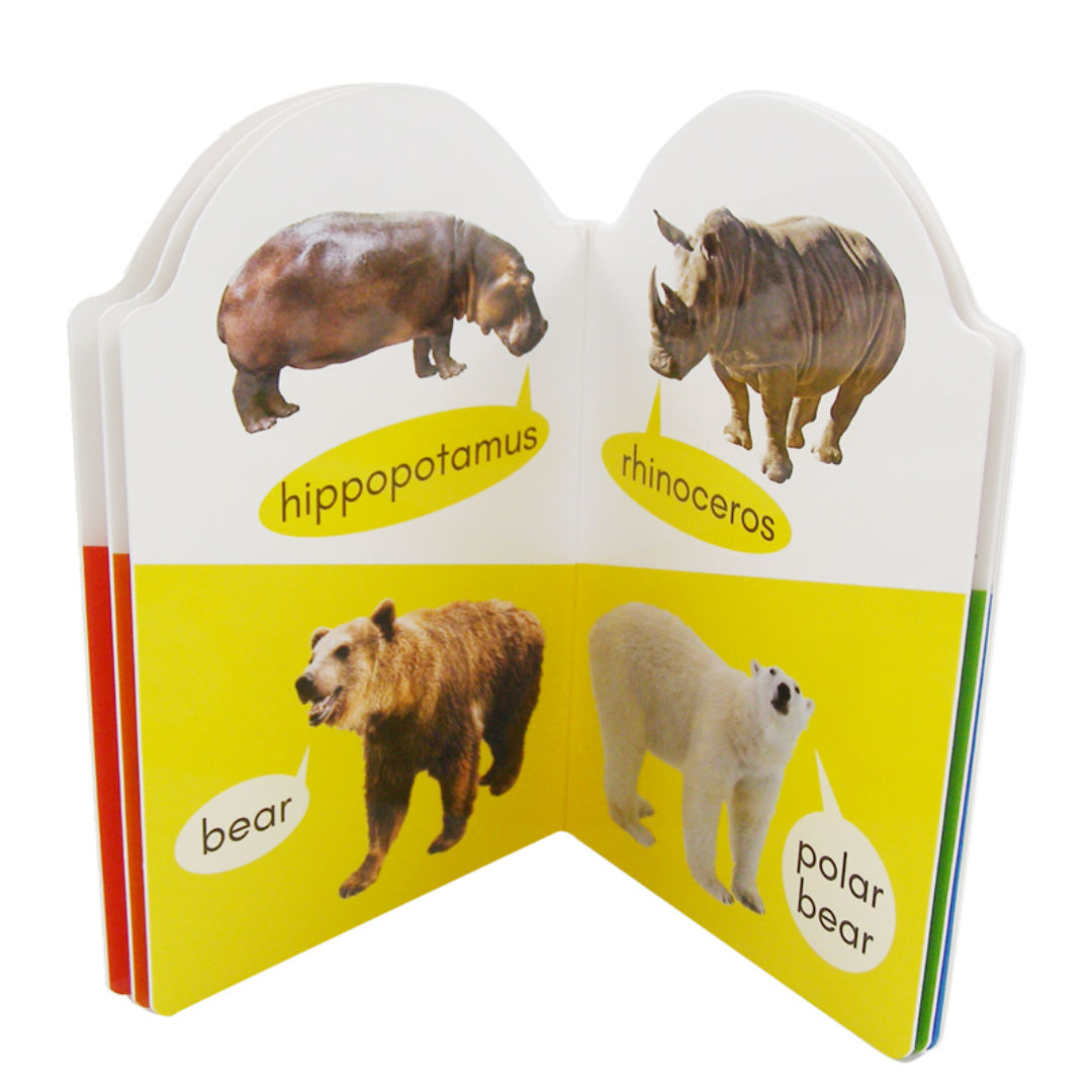 My Early Learning Book Series, Assorted