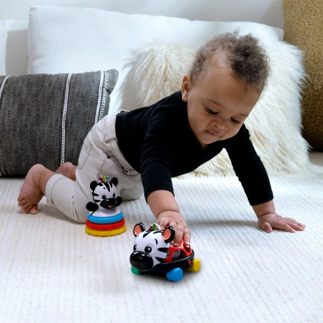 Baby Einstein Zen the Zebra 3-Piece Holiday Gift Set, 3 Months+