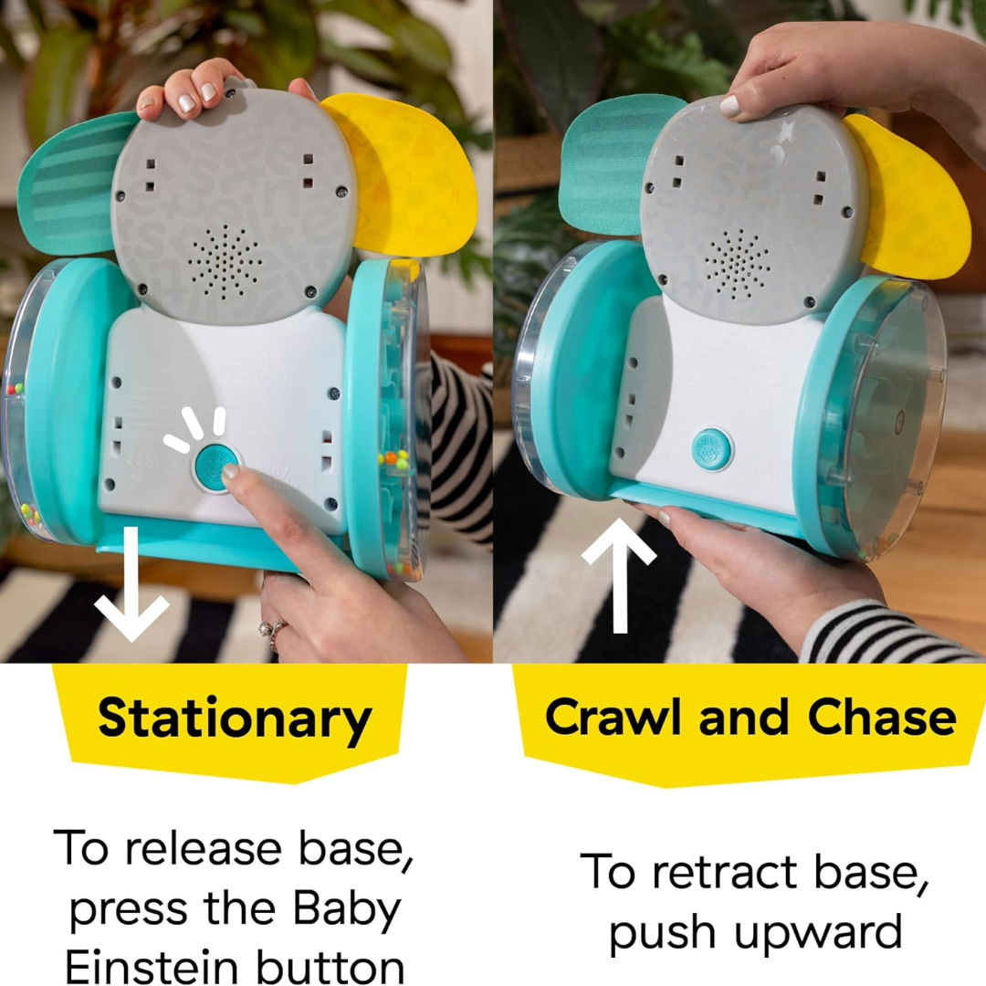 Baby Einstein Chase & Tap Earl Interactive Crawling Toy, 6 Months+