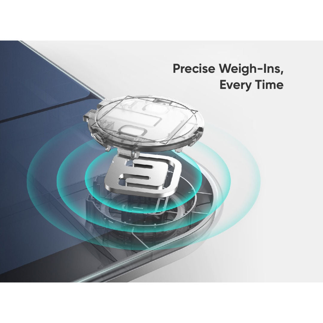 Anker P3 Eufy Smart Scale B2B, Black