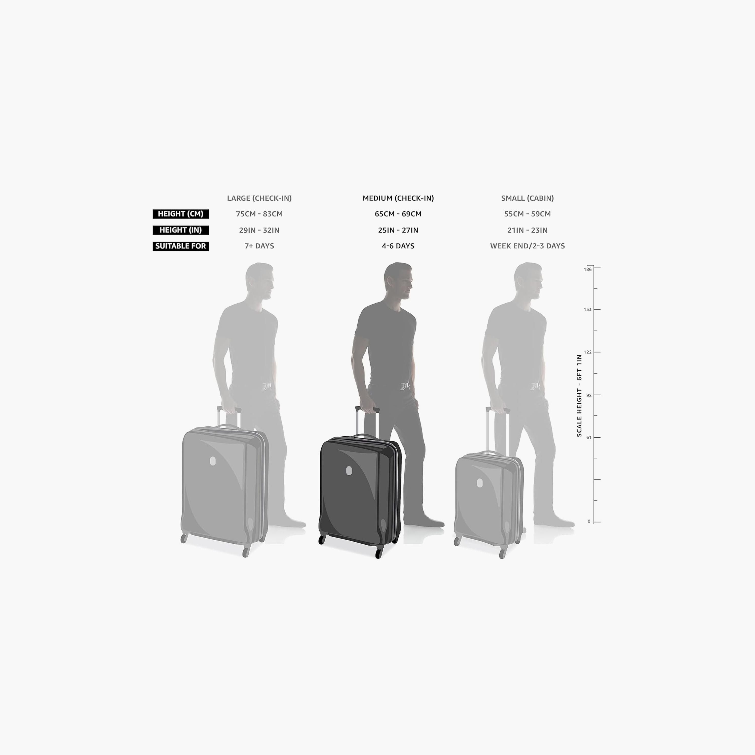 American Tourister Sky Park Hardside Spinner Suitcase, TSA, Olive Green