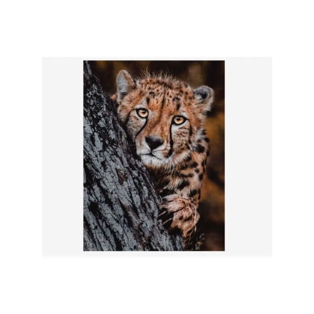 Ambassador Photographer's Collection Donald Boyd Tri-Pack Jigsaw Puzzle, Pack of 3, 1000+ Pieces, 4+ Years