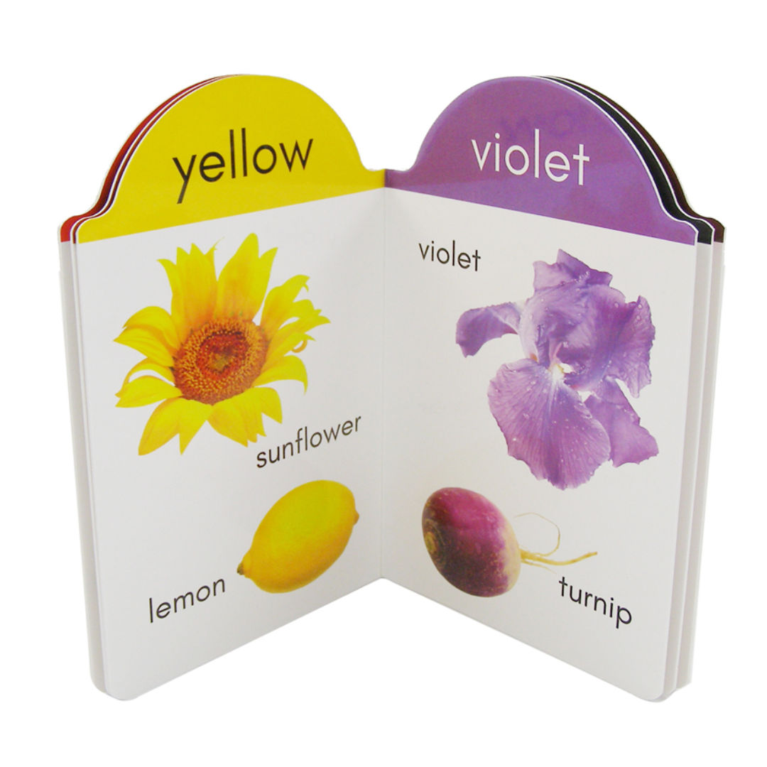 My Early Learning Book Series, Assorted
