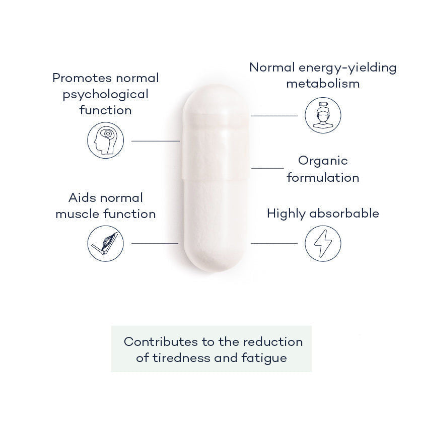 Magnesium+ 575mg Magnesium Lactate with Vitamin B6 - Easy-to-Absorb Formulation - Vegan Suitable - 28 Day Supply - Developed by FutureYou Cambridge