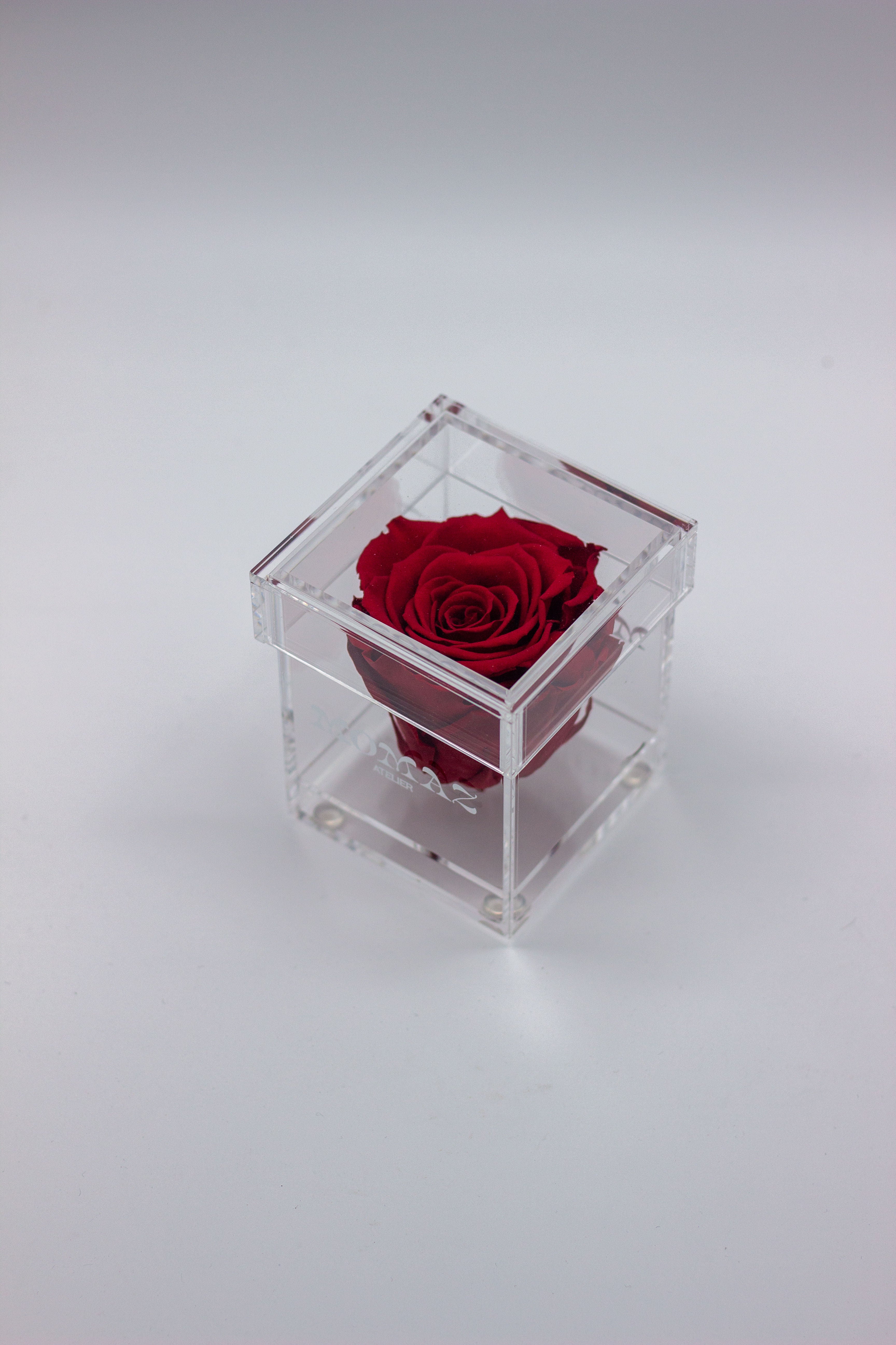 Long Life Single Rose-Red