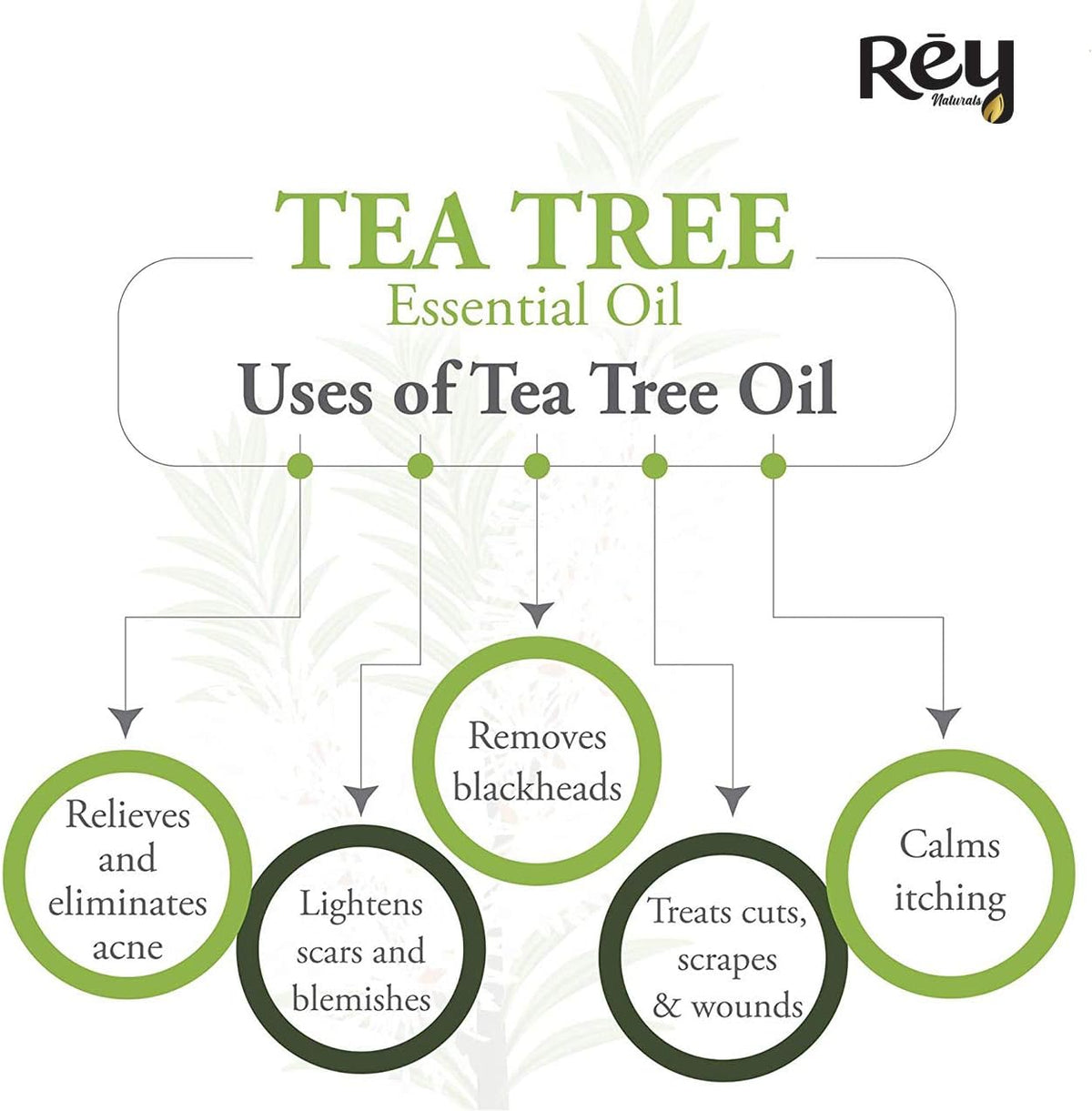 Rey Naturals Tea Tree Oil & Rosemary Oil For Hair Growth & Dandruff Control 15ML*2 (Combo)