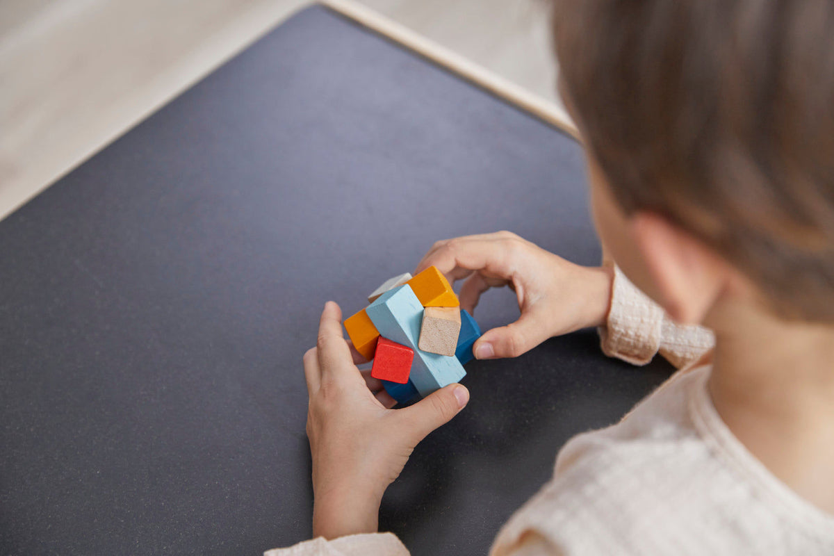 PlanToys PlanMini Log Puzzle