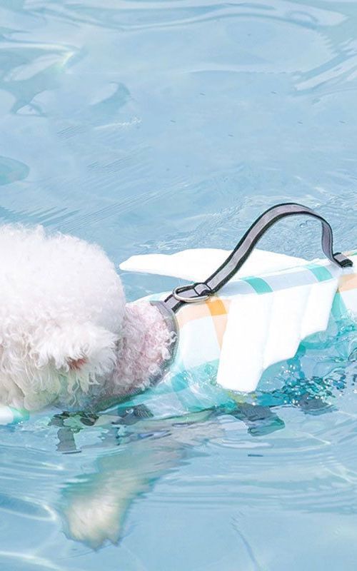 Dog Life Jacket Pet Float Coat Safety Vest Summer Dog Swimming Clothes Lifesaver