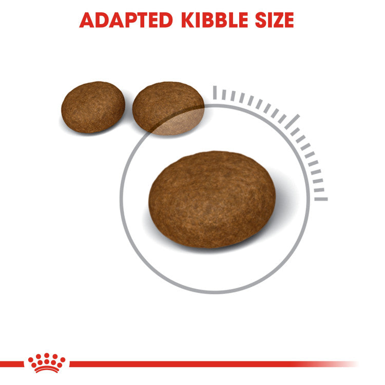 Royal Canin Feline Care Nutrition Hair & Skin