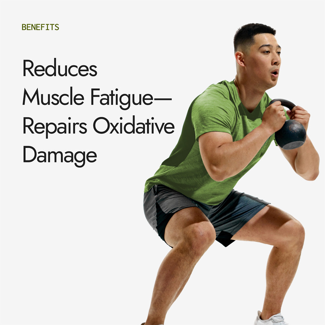 Kapiva Milk Thistle Capsule 120 capsules