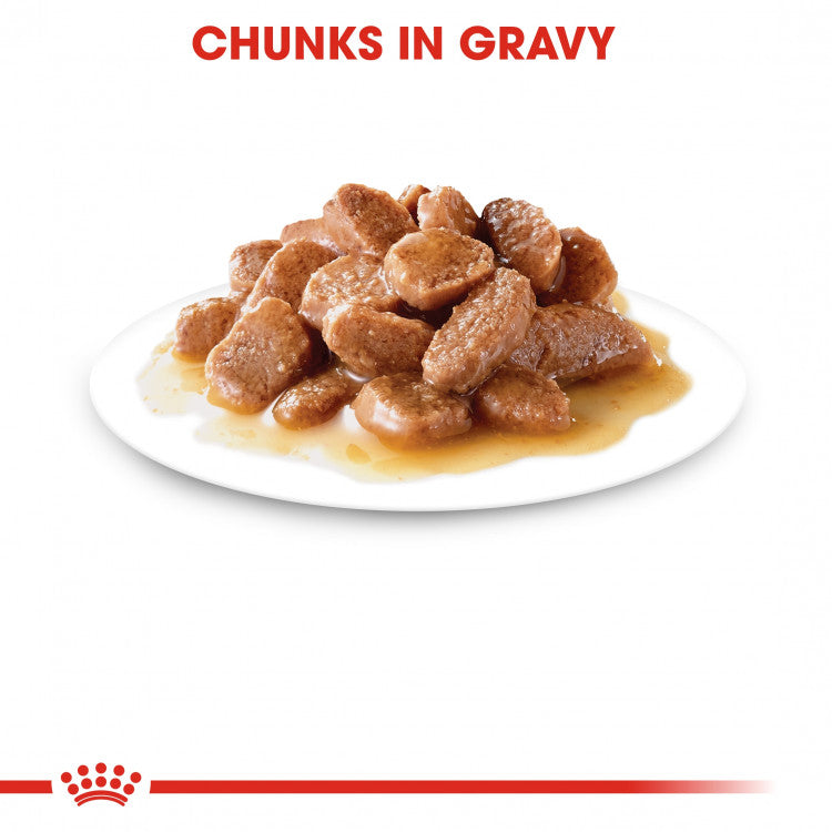 Royal Canin Feline Health Nutrition Ageing +12 Gravy - 12 Wet Food Pouches