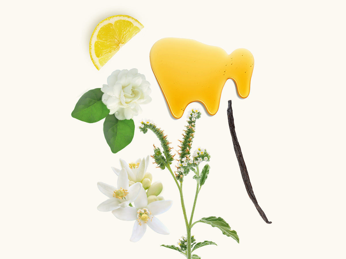 Cotton Eau de Parfum 100ml