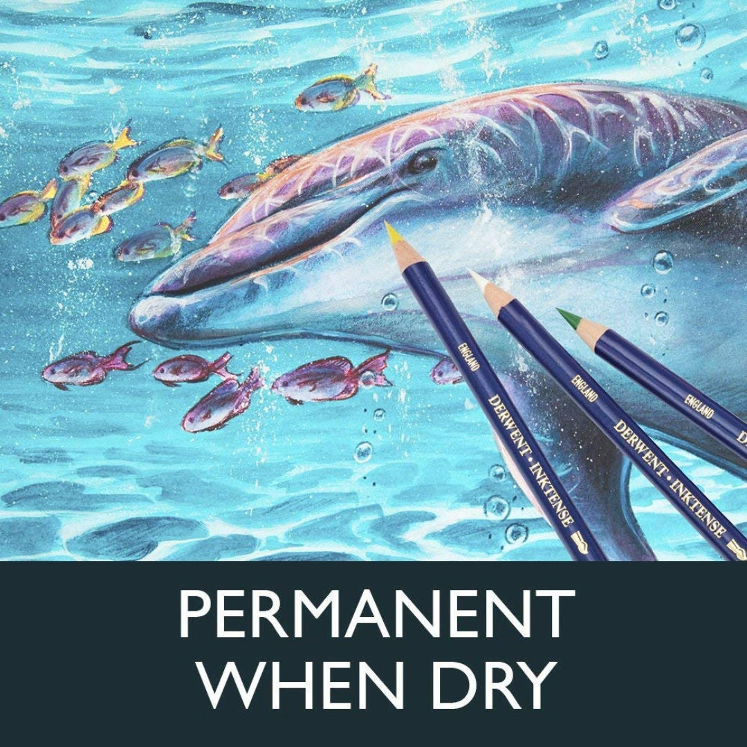Derwent Inktense Professional Quality Pencil, 1x36, 2301842