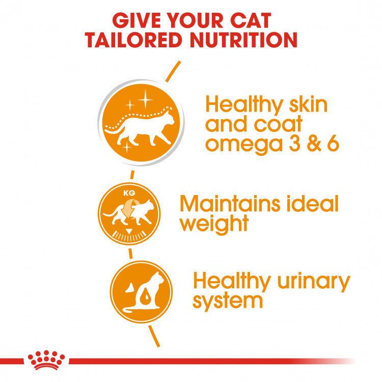 Royal Canin Feline Care Nutrition  Hair & Skin Jelly - 12 Wet Food Pouches