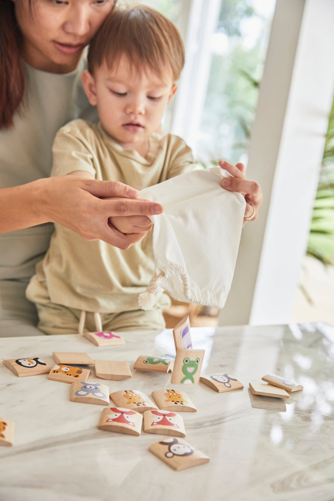PlanToys Animals Memo