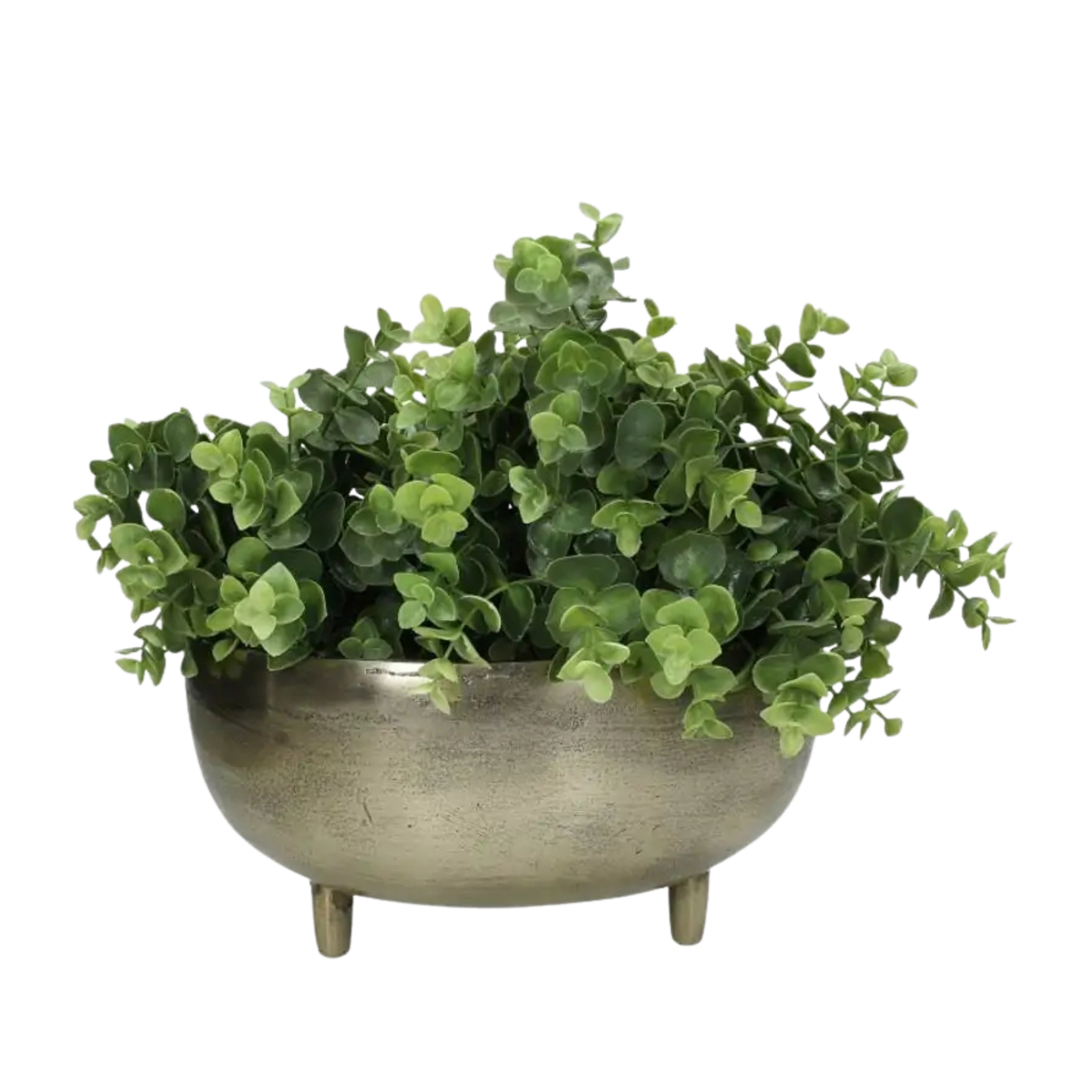 Planter Gold
