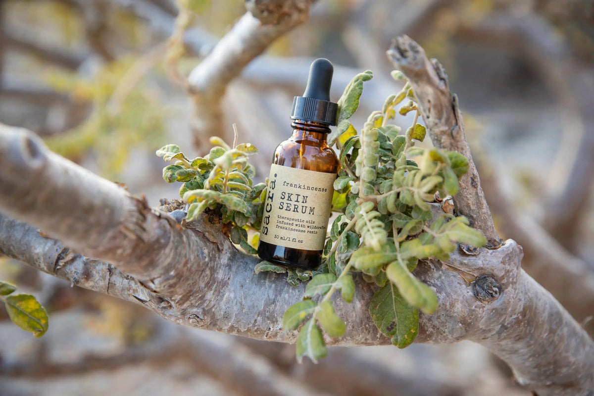 FRANKINCENSE SKIN SERUM