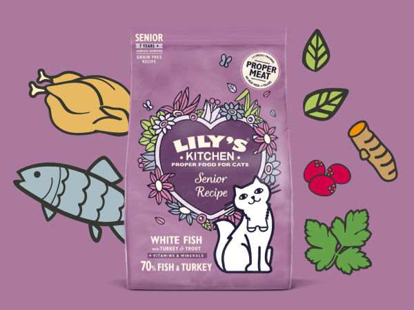 Lily's Kitchen Senior Recipe White Fish with Turkey & Trout Dry Cat Food 800gms