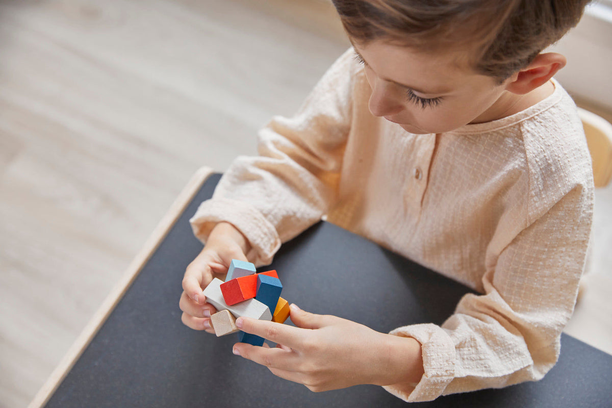 PlanToys PlanMini Log Puzzle