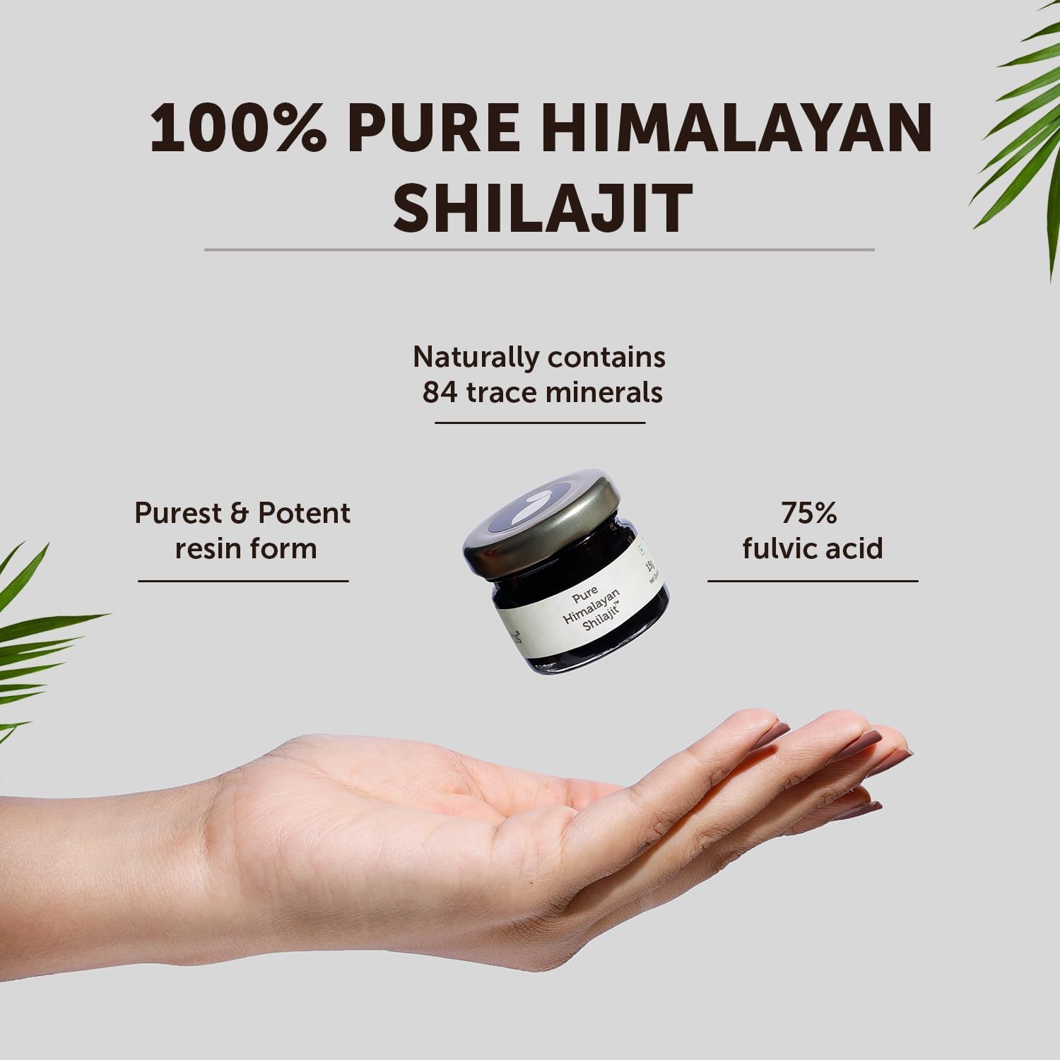 Neuherbs Pure Himalayan Shilajit 20g
