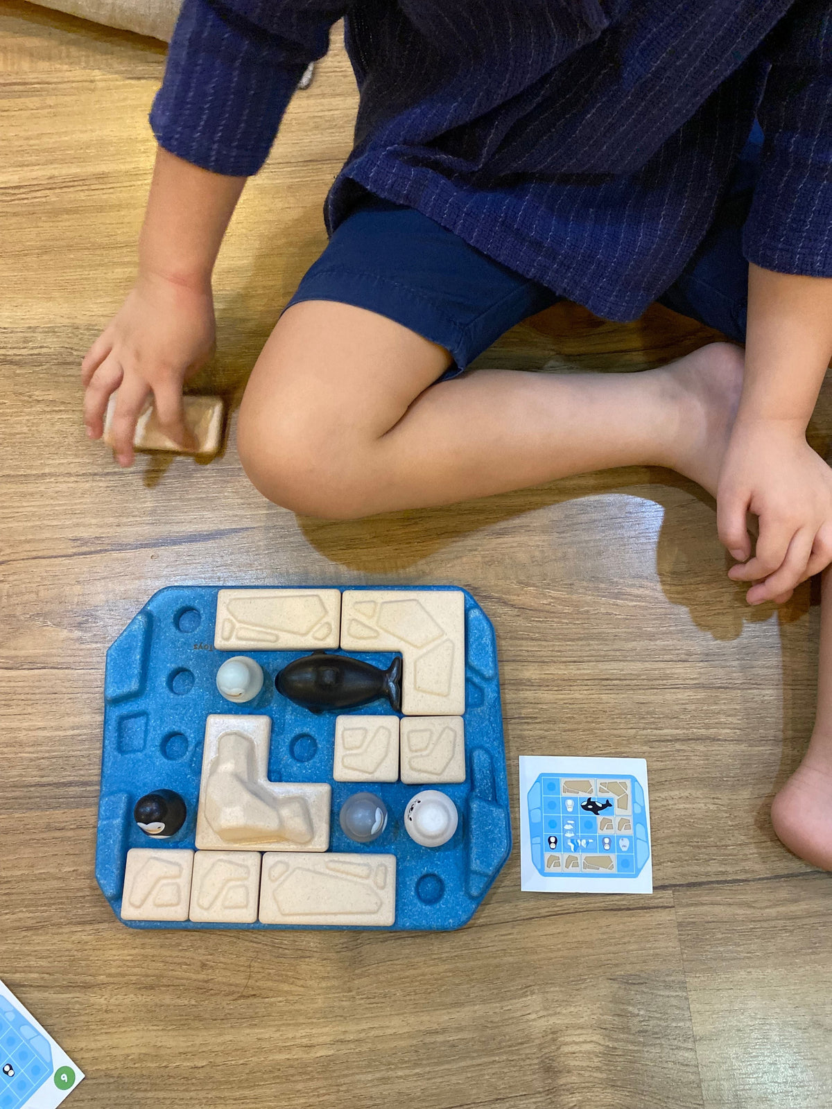 PlanToys Finding Penguin Game