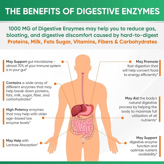 Wholesome Wellness Digestive Enzymes 1000MG With Probiotics & Prebiotics 180 Capsules